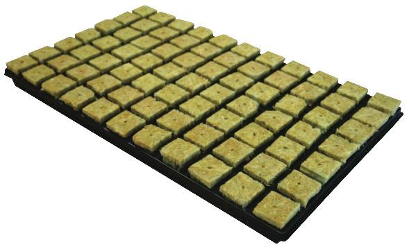 C10-080-101.jpg Plateau 77 cubes de laine de roche - 55x30cm - GRODAN
