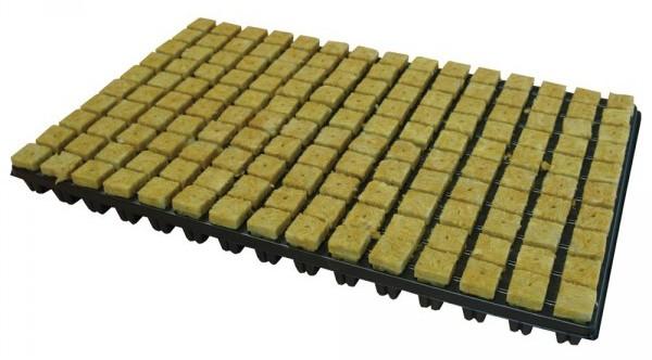 C10-080-102.jpg Plateau 150 cubes de laine de roche - 55x30cm - GRODAN