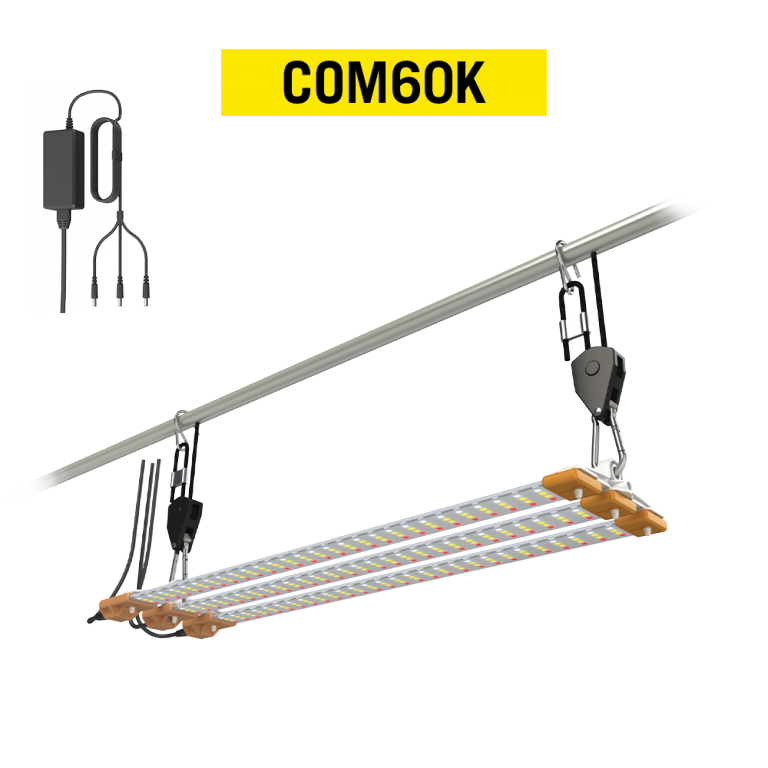 D10-102-662.png Kit Cosmorrow 60 Full Spectrum