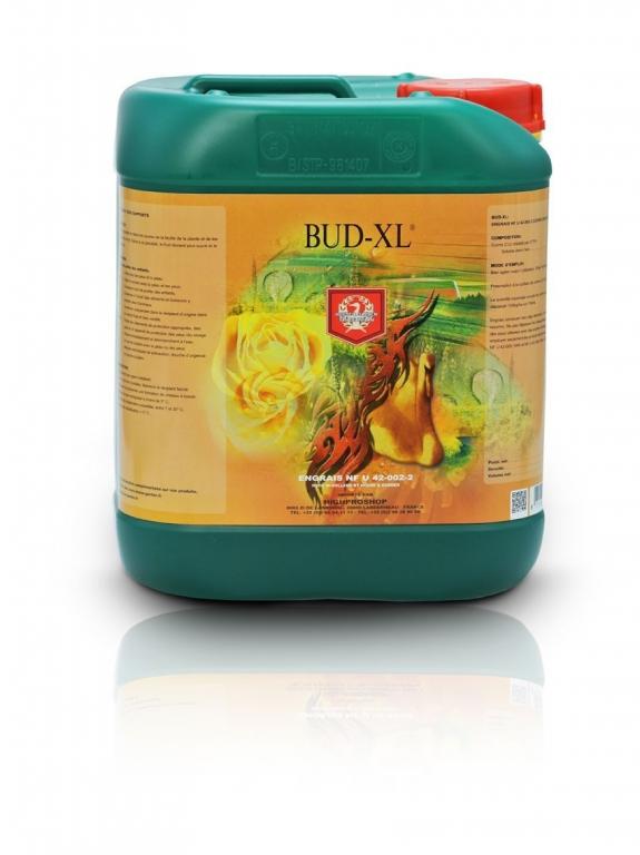 E10-140-234.jpg House & Garden Bud XL - 5 Litres