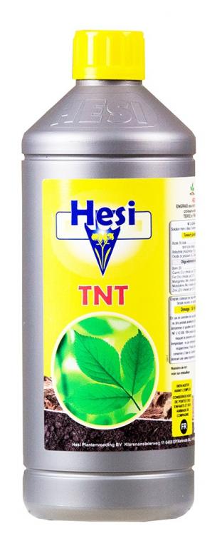 HESI TNT 1 L