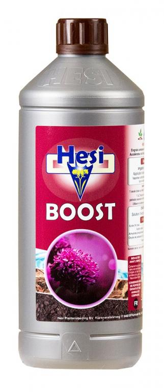 HESI BOOST 1 L