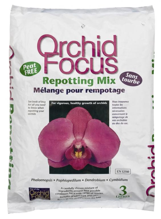 Substrat FOCUS rempotage orchidée 3L