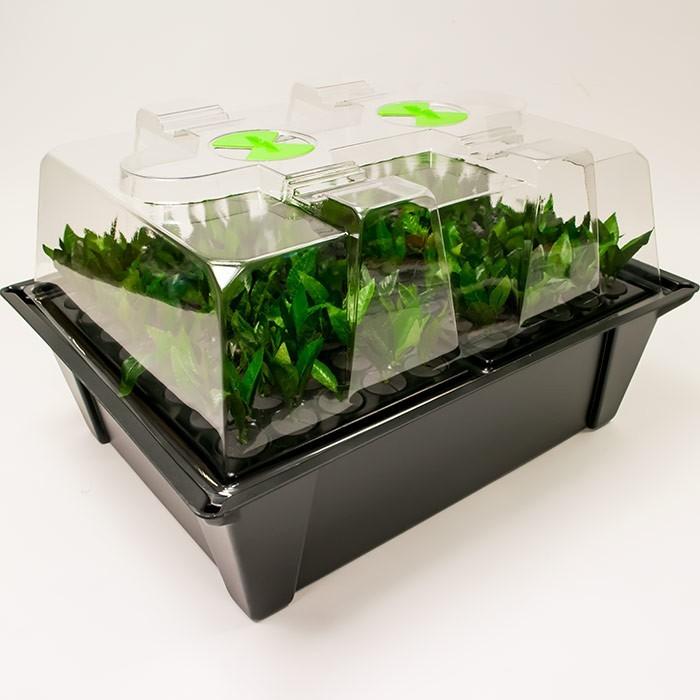X-Stream 80 plantes - Système PROPAGATION