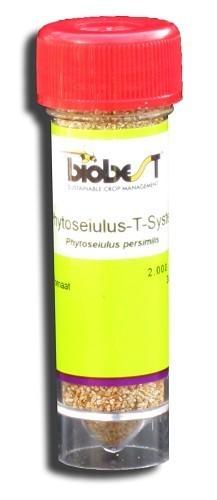 Phytoseiulus-System 2000 individus Phytoseiulus-System 2000 individus