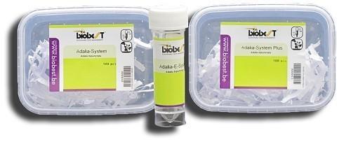 Adalia -System 80 individus