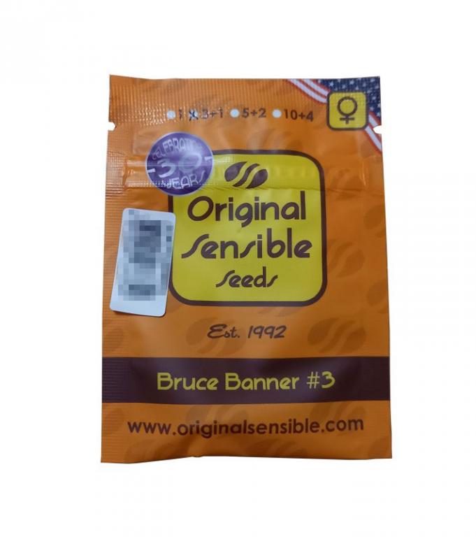 Bruce Banner – 3 graines – Original Sensible Seeds