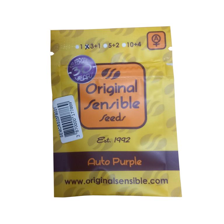 Purple Auto – 3 graines – Original Sensible Seeds