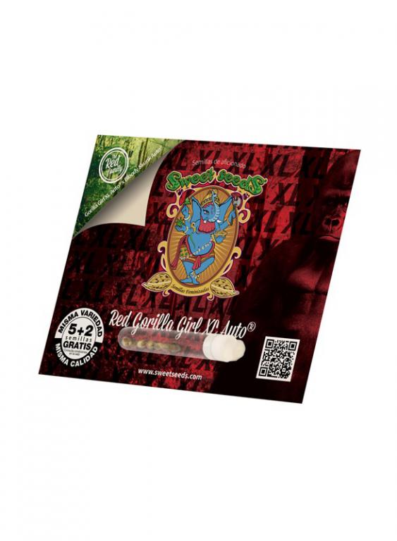 Red Gorilla Girl XL Auto – 5+2 graines – Sweet Seeds