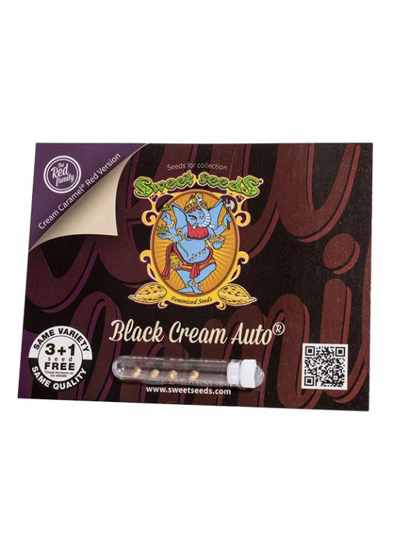 Black Cream Auto – 3+1 graines – Sweet Seeds
