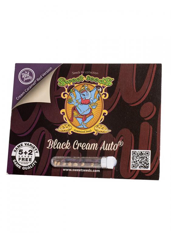 Black Cream Auto – 5+2 graines – Sweet Seeds Black Cream Auto – 5+2 graines – Sweet Seeds