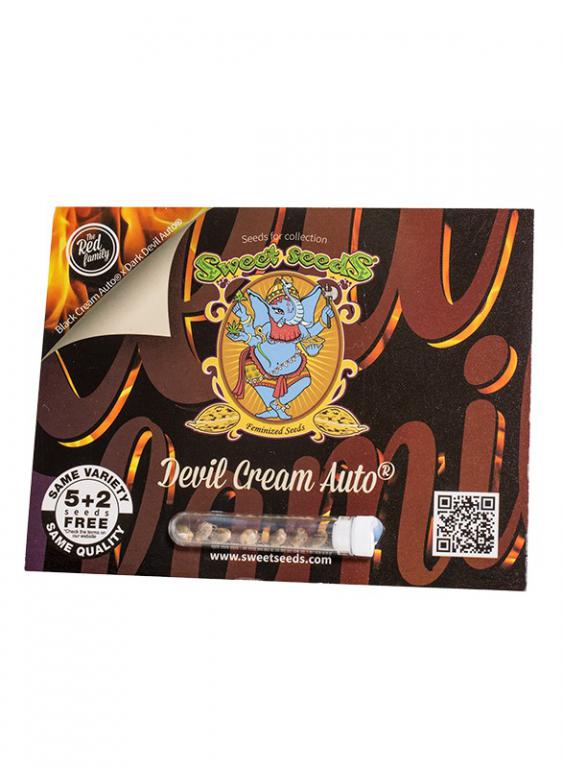 Devil Cream Auto – 5+2 graines – Sweet Seeds