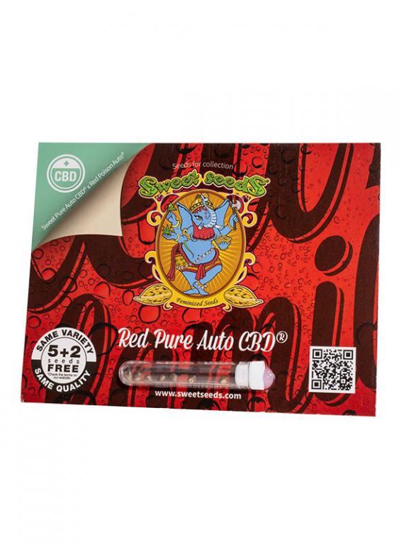 Red Pure Auto CBD – 5+2 graines – Sweet Seeds