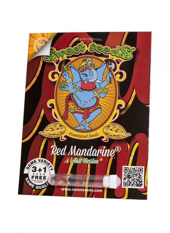 Red Mandarine F1 Fast Version – 3+1 graines – Sweet Seeds Red Mandarine F1 Fast Version – 3+1 graines – Sweet Seeds