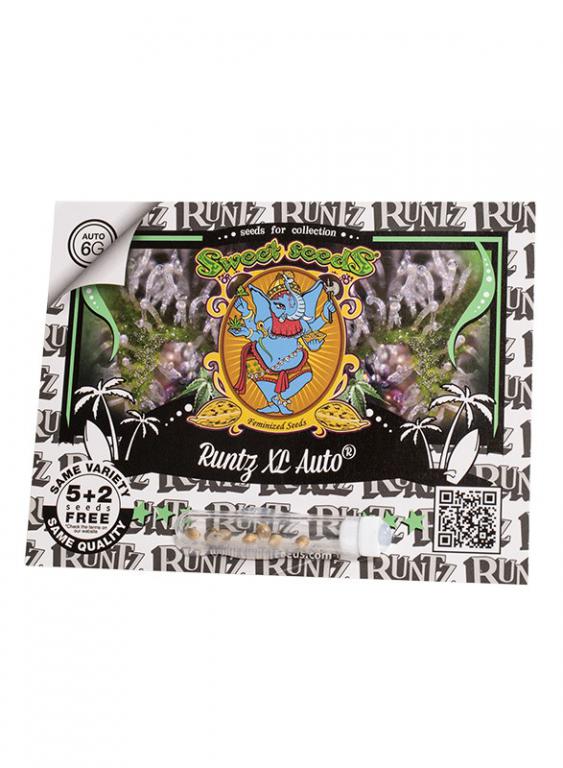 Runtz XL Auto – 5+2 graines – Sweet Seeds