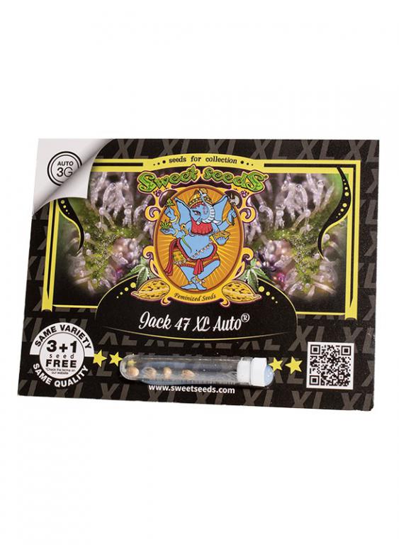 Jack 47 XL Auto – 3+1 graines – Sweet Seeds