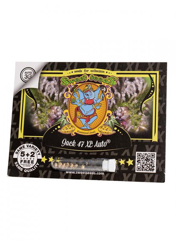 Jack 47 XL Auto – 5+2 graines – Sweet Seeds Jack 47 XL Auto – 5+2 graines – Sweet Seeds