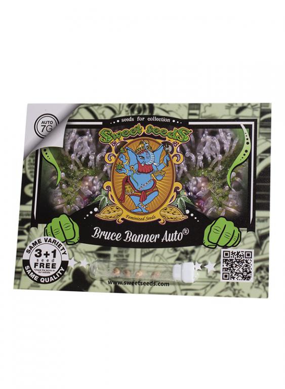 Bruce Banner Auto – 3+1 graines – Sweet Seeds Bruce Banner Auto – 3+1 graines – Sweet Seeds