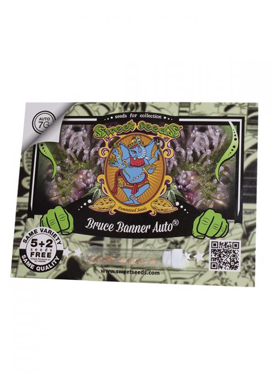 Bruce Banner Auto – 5+2 graines – Sweet Seeds Bruce Banner Auto – 5+2 graines – Sweet Seeds