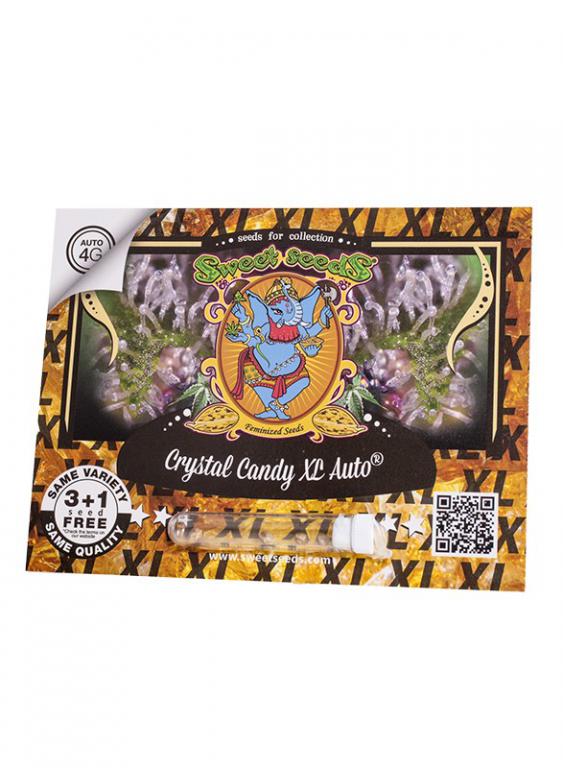 Crystal Candy XL Auto – 3+1 graines – Sweet Seeds