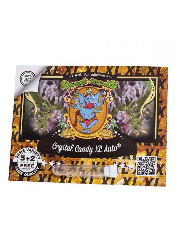 Crystal Candy XL Auto – 5+2 graines – Sweet Seeds Crystal Candy XL Auto – 5+2 graines – Sweet Seeds