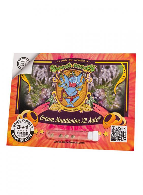 Cream Mandarine XL Auto – 3+1 graines – Sweet Seeds Cream Mandarine XL Auto – 3+1 graines – Sweet Seeds
