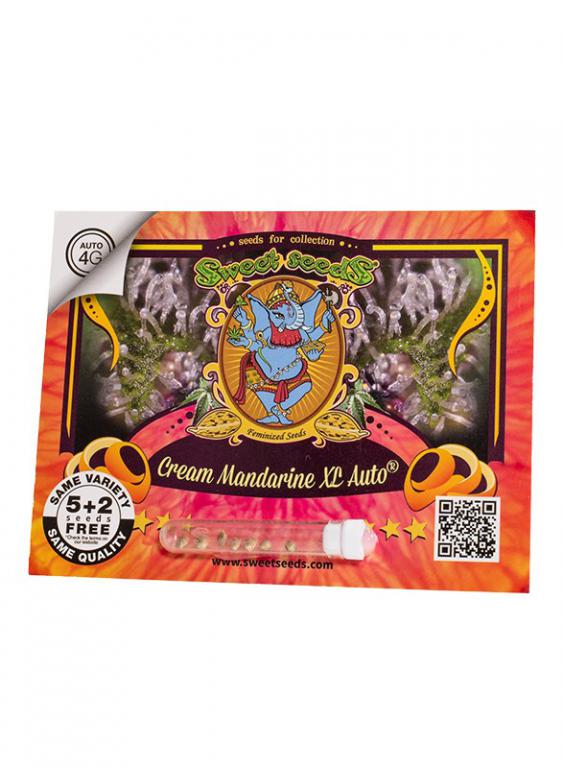 Cream Mandarine XL Auto – 5+2 graines – Sweet Seeds Cream Mandarine XL Auto – 5+2 graines – Sweet Seeds