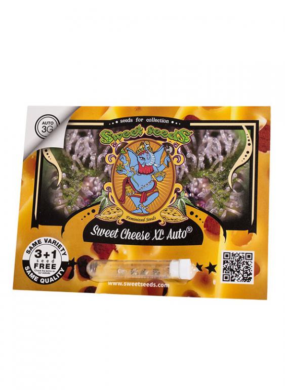 Sweet Cheese XL Auto – 3+1 graines – Sweet Seeds