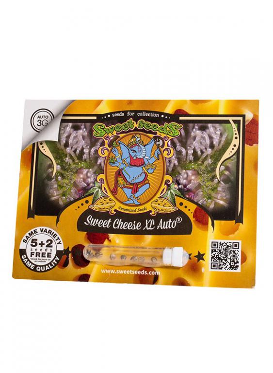 Sweet Cheese XL Auto – 5+2 graines – Sweet Seeds Sweet Cheese XL Auto – 5+2 graines – Sweet Seeds