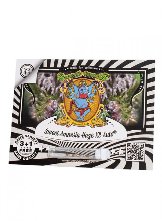 Sweet Amnesia Haze XL Auto – 3+1 graines – Sweet Seeds Sweet Amnesia Haze XL Auto – 3+1 graines – Sweet Seeds