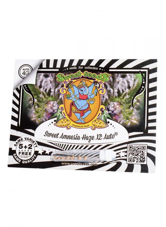 Sweet Amnesia Haze XL Auto – 5+2 graines – Sweet Seeds Sweet Amnesia Haze XL Auto – 5+2 graines – Sweet Seeds