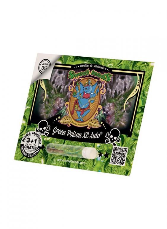 Green Poison XL – 3+1 graines – Sweet Seeds Green Poison XL – 3+1 graines – Sweet Seeds