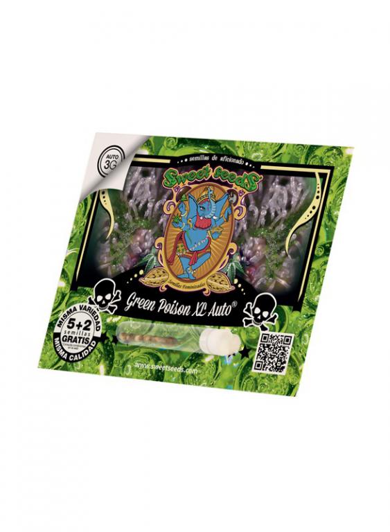 Green Poison XL – 5+2 graines – Sweet Seeds