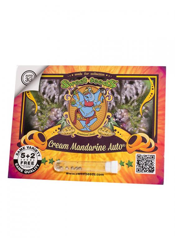 Cream Mandarine Auto – 5+2 graines – Sweet Seeds Cream Mandarine Auto – 5+2 graines – Sweet Seeds