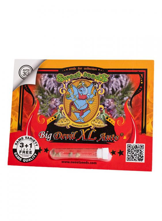 Big Devil XL Auto – 3+1 graines – Sweet Seeds Big Devil XL Auto – 3+1 graines – Sweet Seeds