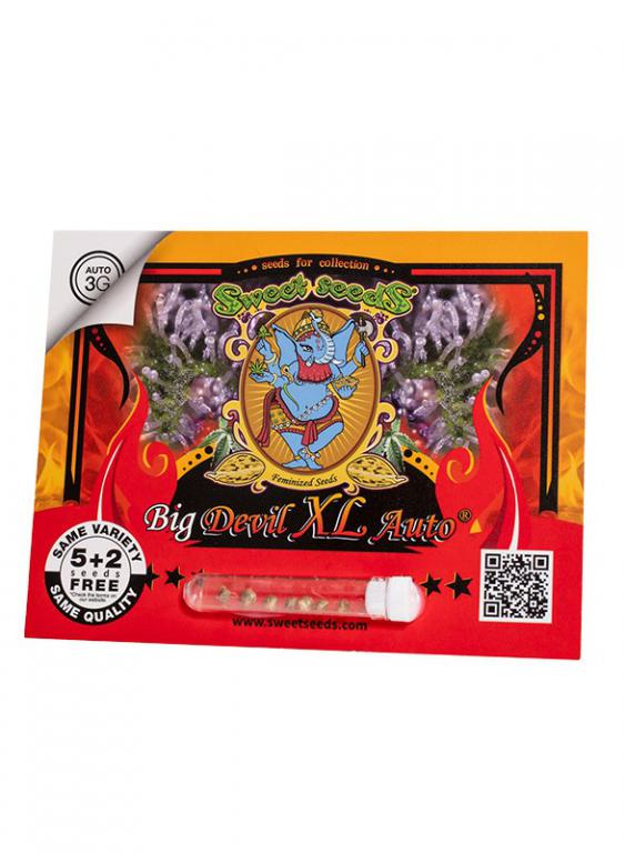 Big Devil XL Auto – 5+2 graines – Sweet Seeds Big Devil XL Auto – 5+2 graines – Sweet Seeds