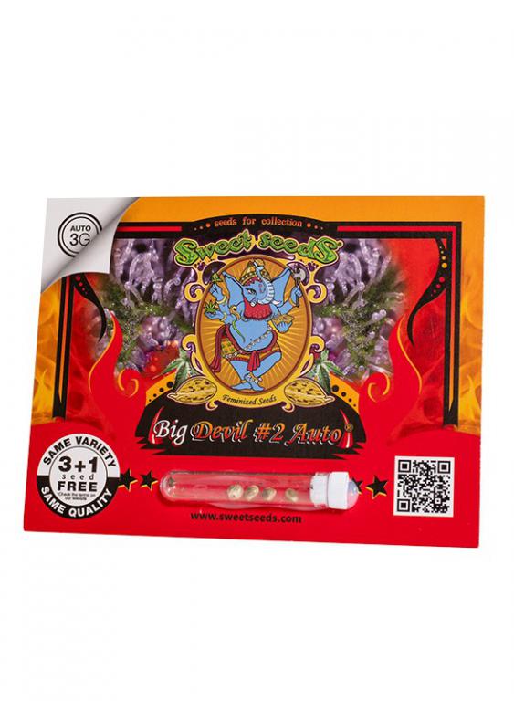 Big Devil #2 Auto – 3+1 graines – Sweet Seeds