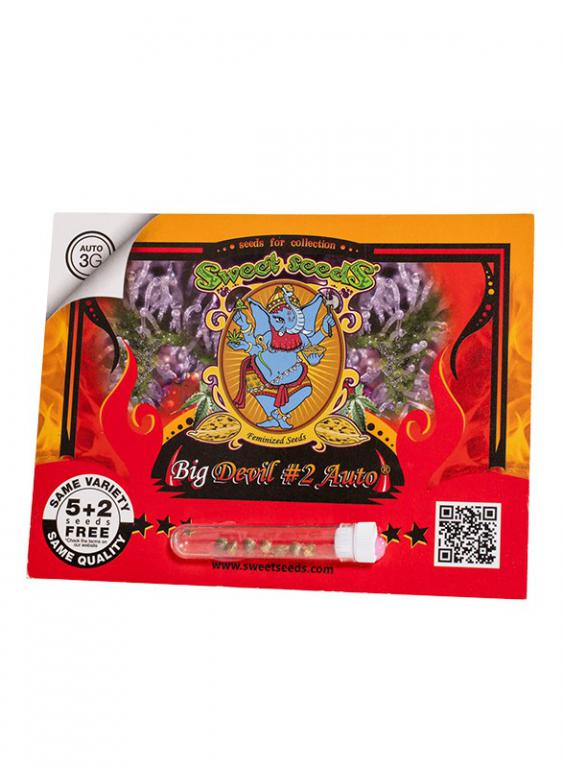 Big Devil #2 Auto – 5+2 graines – Sweet Seeds