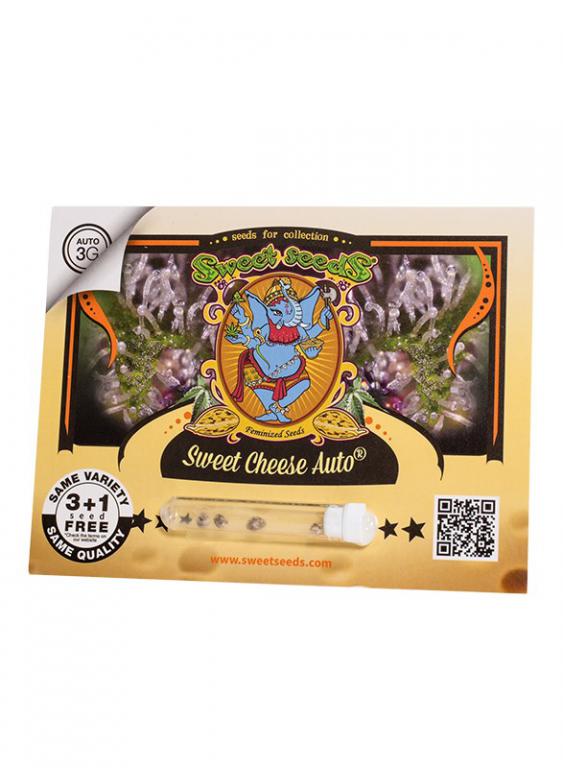 Sweet Cheese Auto – 3+1 graines – Sweet Seeds Sweet Cheese Auto – 3+1 graines – Sweet Seeds