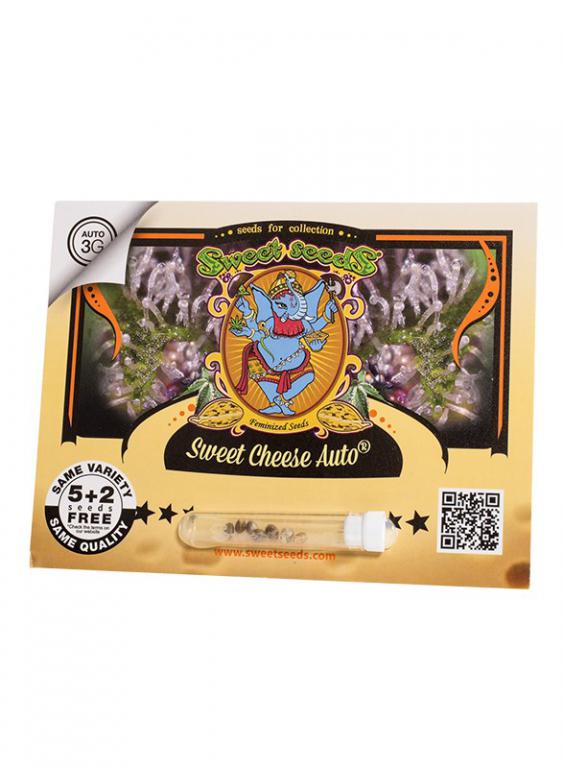 Sweet Cheese Auto – 5+2 graines – Sweet Seeds