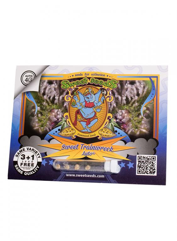 Sweet Trainwreck Auto – 3+1 graines – Sweet Seeds Sweet Trainwreck Auto – 3+1 graines – Sweet Seeds