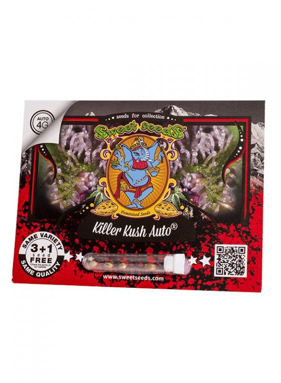 Killer Kush Auto – 3+1 graines – Sweet Seeds Killer Kush Auto – 3+1 graines – Sweet Seeds