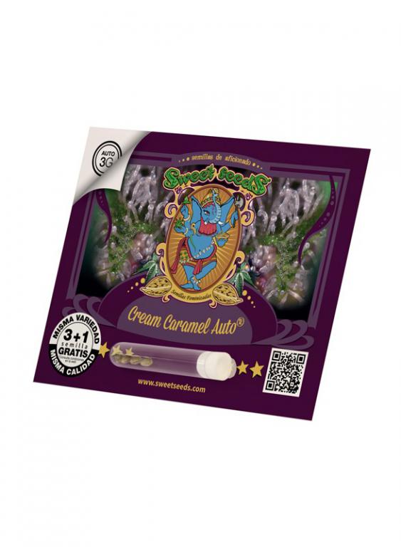 Cream Caramel Auto – 3+1 graines – Sweet Seeds Cream Caramel Auto – 3+1 graines – Sweet Seeds