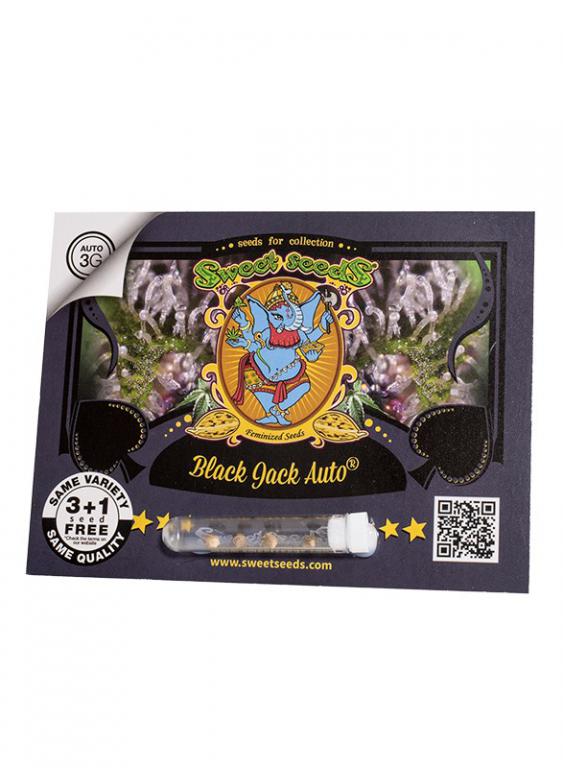 Black Jack Auto – 3+1 graines – Sweet Seeds Black Jack Auto – 3+1 graines – Sweet Seeds