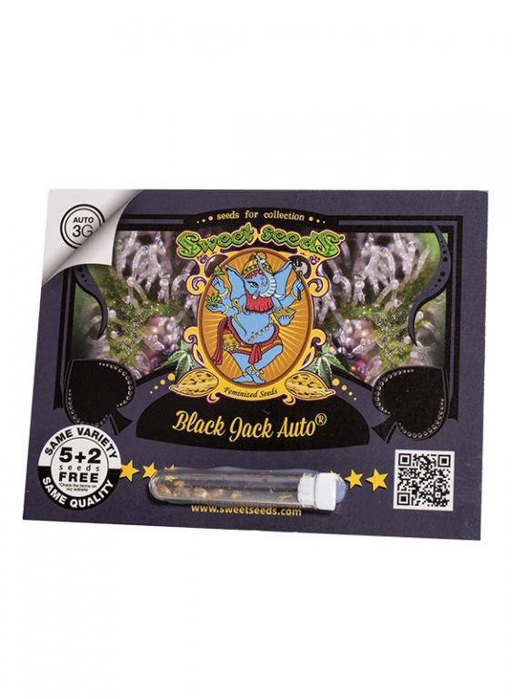 Black Jack Auto – 5+2 graines – Sweet Seeds Black Jack Auto – 5+2 graines – Sweet Seeds