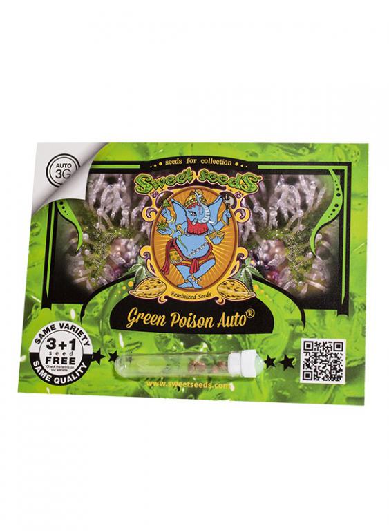Green Poison Auto – 3+1 graines – Sweet Seeds