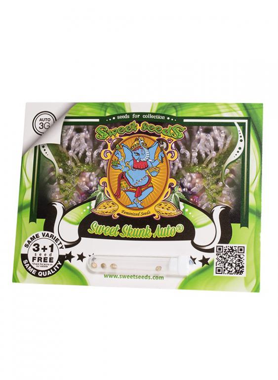 Sweet Skunk Auto – 3+1 graines – Sweet Seeds