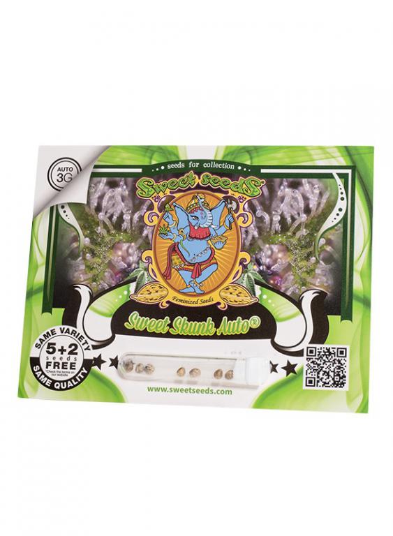 Sweet Skunk Auto – 5+2 graines – Sweet Seeds