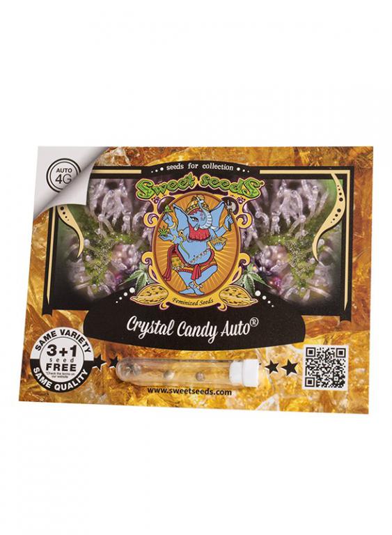 Crystal Candy Auto – 3+1 graines – Sweet Seeds Crystal Candy Auto – 3+1 graines – Sweet Seeds