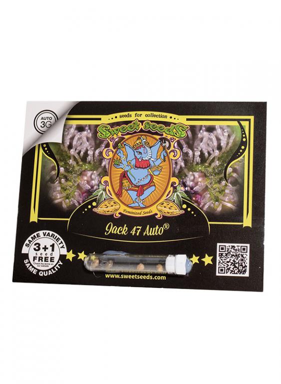 Jack 47 Auto – 3+1 graines – Sweet Seeds Jack 47 Auto – 3+1 graines – Sweet Seeds